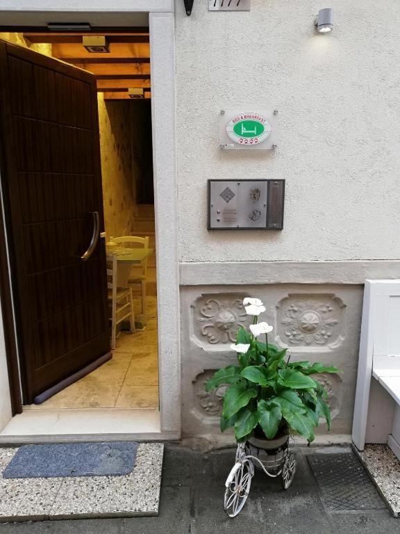 B & B San Domenico Кьоджа Экстерьер фото